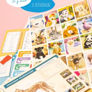 Votre enfant devient vétérinaire… pour les animaux en peluche ! 🐻🐶 Avec le jeu Si J’étais Vétérinaire d’Amulette, il découvre les différentes espèces, leur anatomie et leur fonctionnement, tout en les soignant avec passion et amusement. 🩺💛 #amulette #jeuximitation #madeinfrance #jeuxenfants #éveil #imagination #jeupédagogique #jeuvétérinaire #vétérinaire #jeuenfant#jeuécole #apprentissageludique #kids