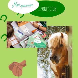 Mon Premier Poney Club — un jeu signé Amulette pour tous les amoureux des chevaux ! 🐴 Les enfants deviennent de véritables gérants de leur poney club : ils organisent les cours, s’occupent des chevaux, préparent les compétitions et accueillent les nouveaux cavaliers 🏆🐎 Un jeu plein de passion, de gestion et d’imagination ✨ #amulette #jeuximitation #madeinfrance #jeuxenfants #éveil #imagination #jeupédagogique #imitation #apprentissageludique #kids #poneyclub #jeuponey