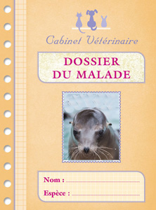 loulou DOSSIER